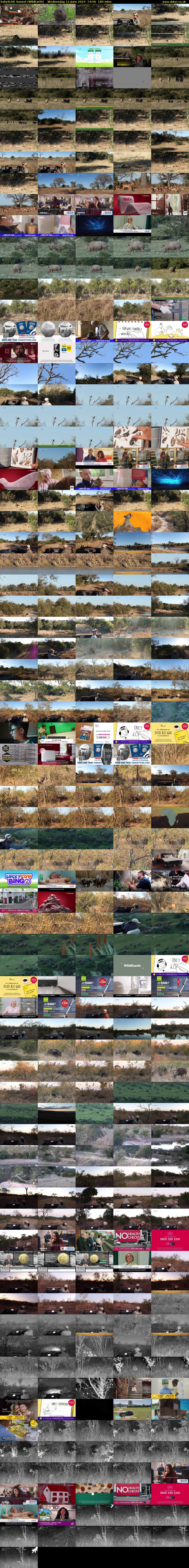SafariLIVE Sunset (WildEarth) Wednesday 12 June 2024 14:00 - 17:00