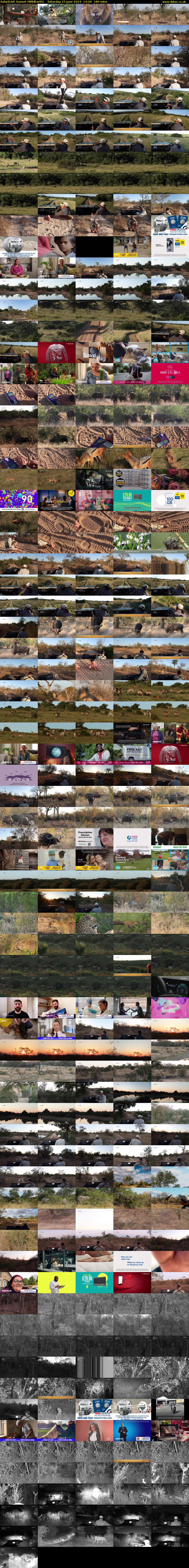 SafariLIVE Sunset (WildEarth) Saturday 15 June 2024 14:00 - 17:00