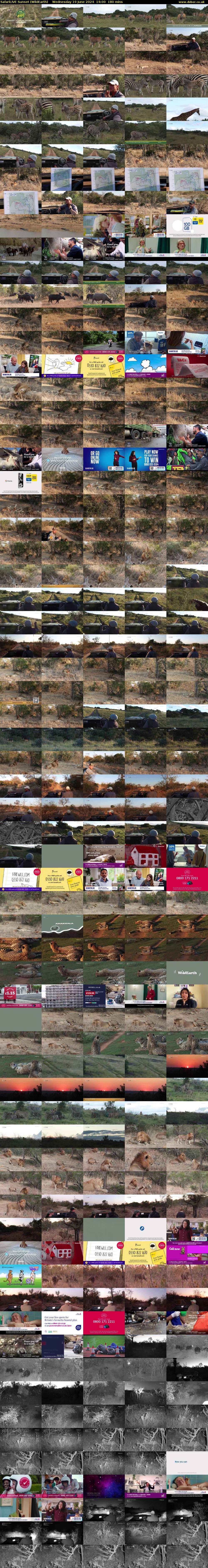 SafariLIVE Sunset (WildEarth) Wednesday 19 June 2024 14:00 - 17:00