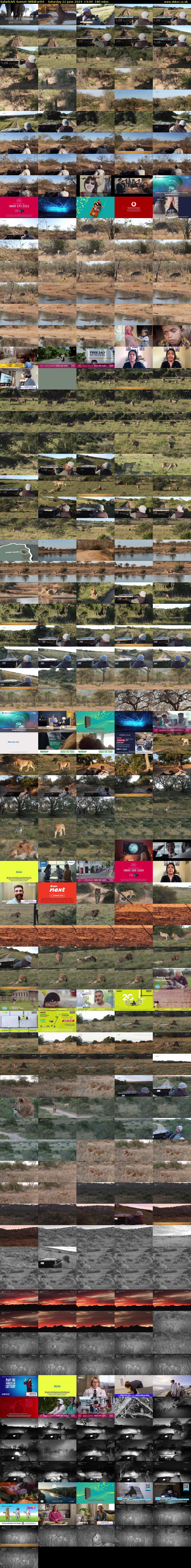 SafariLIVE Sunset (WildEarth) Saturday 22 June 2024 14:00 - 17:00