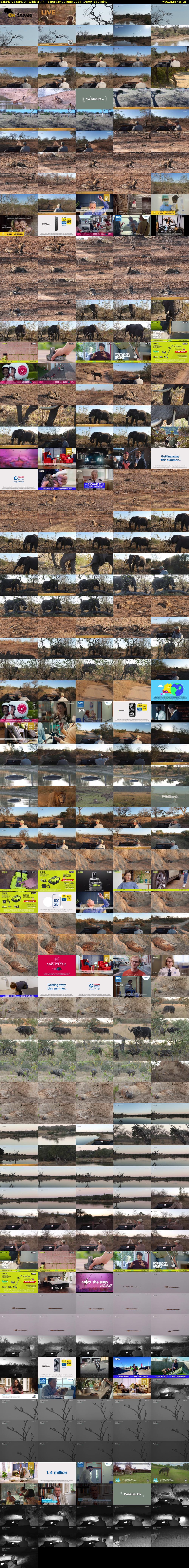 SafariLIVE Sunset (WildEarth) Saturday 29 June 2024 14:00 - 17:00