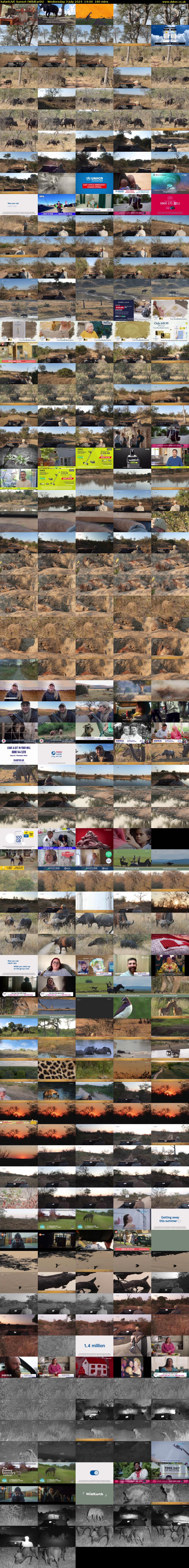 SafariLIVE Sunset (WildEarth) Wednesday 3 July 2024 14:00 - 17:00