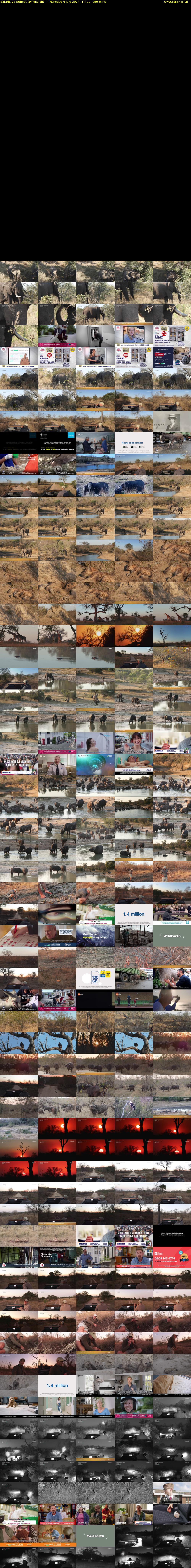 SafariLIVE Sunset (WildEarth) Thursday 4 July 2024 14:00 - 17:00