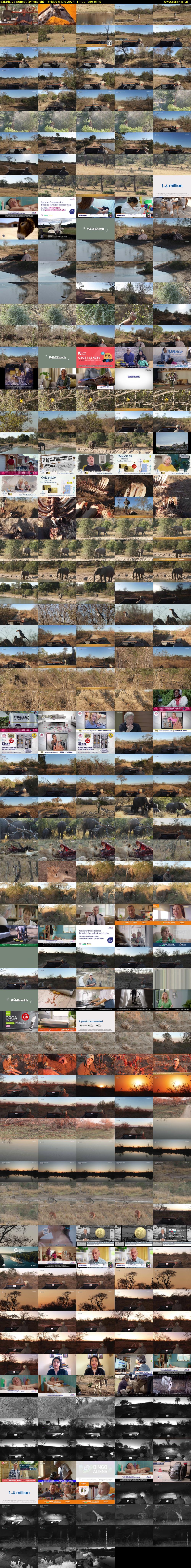 SafariLIVE Sunset (WildEarth) Friday 5 July 2024 14:00 - 17:00