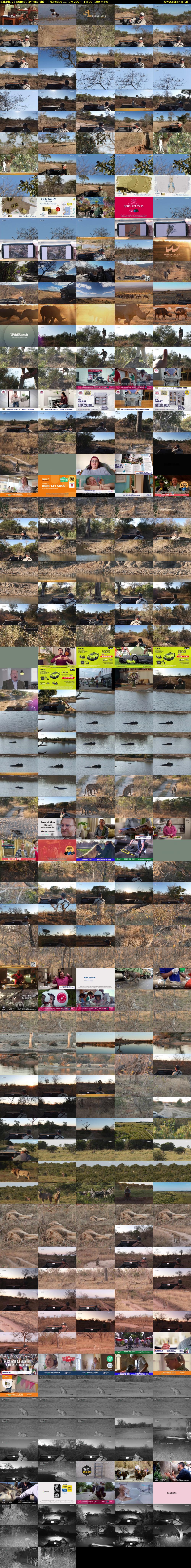 SafariLIVE Sunset (WildEarth) Thursday 11 July 2024 14:00 - 17:00