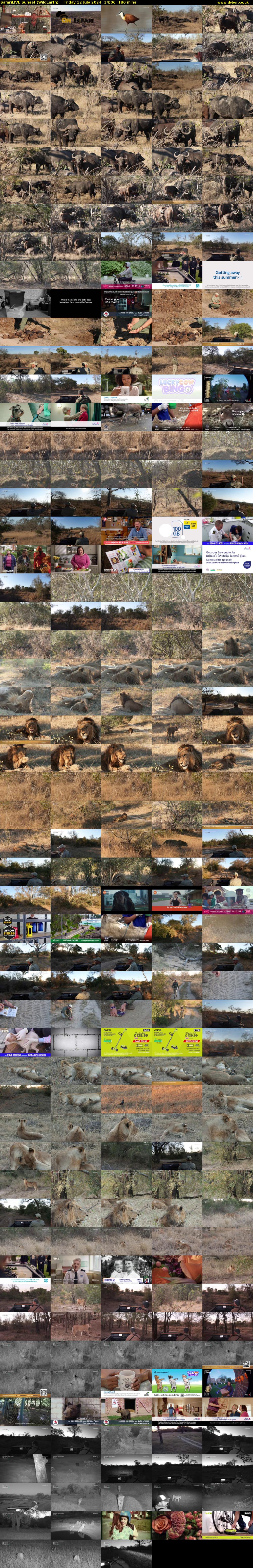 SafariLIVE Sunset (WildEarth) Friday 12 July 2024 14:00 - 17:00
