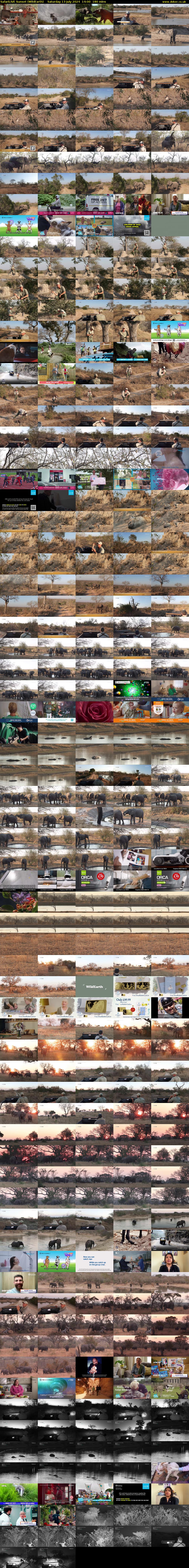 SafariLIVE Sunset (WildEarth) Saturday 13 July 2024 14:00 - 17:00