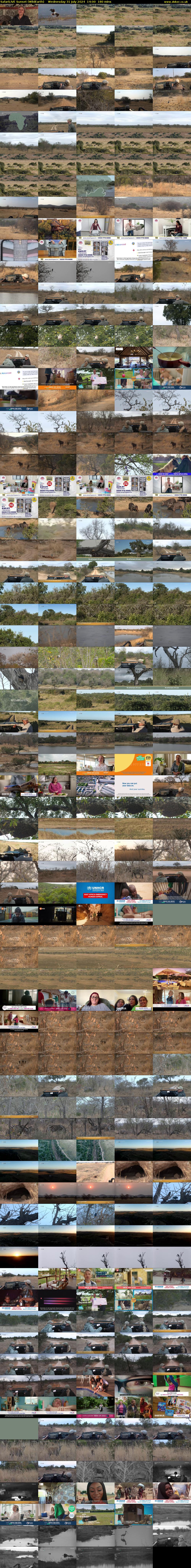 SafariLIVE Sunset (WildEarth) Wednesday 31 July 2024 14:00 - 17:00