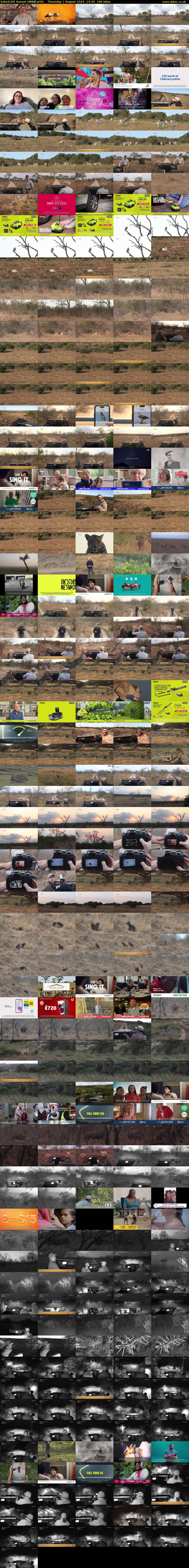 SafariLIVE Sunset (WildEarth) Thursday 1 August 2024 14:30 - 17:30