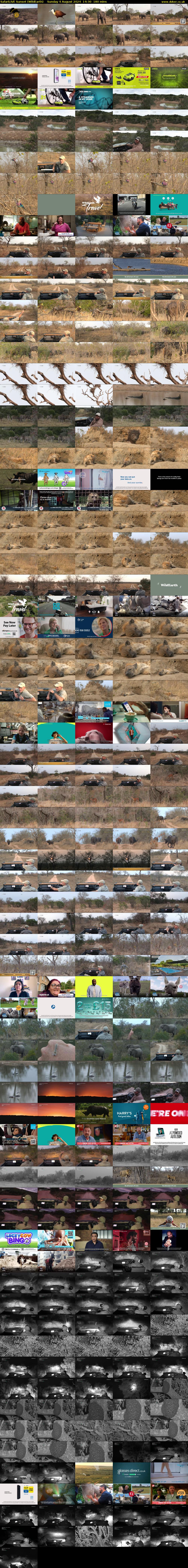 SafariLIVE Sunset (WildEarth) Sunday 4 August 2024 14:30 - 17:30
