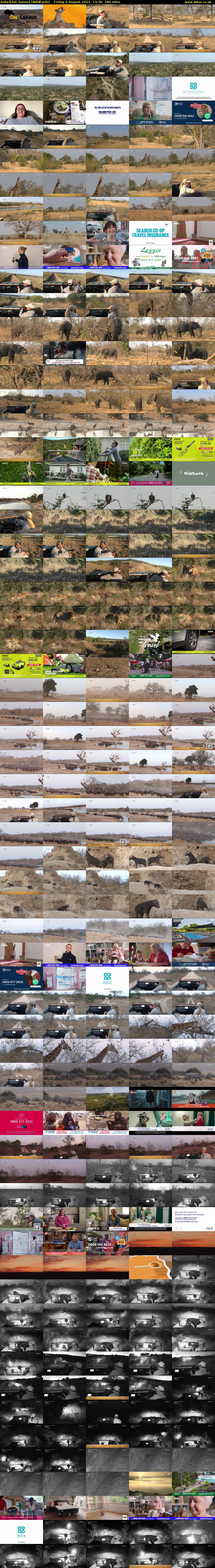 SafariLIVE Sunset (WildEarth) Friday 9 August 2024 14:30 - 17:30