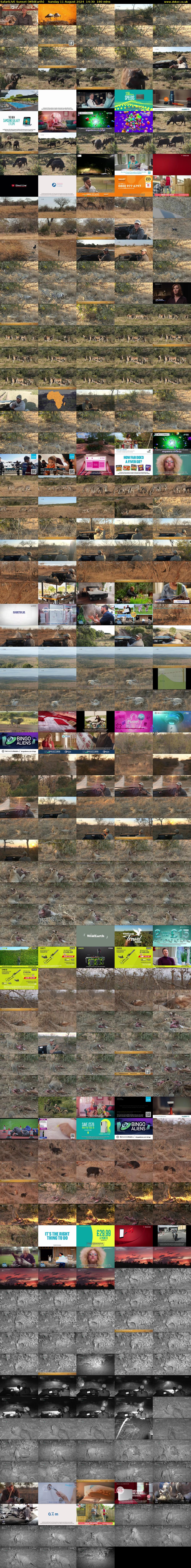 SafariLIVE Sunset (WildEarth) Sunday 11 August 2024 14:30 - 17:30