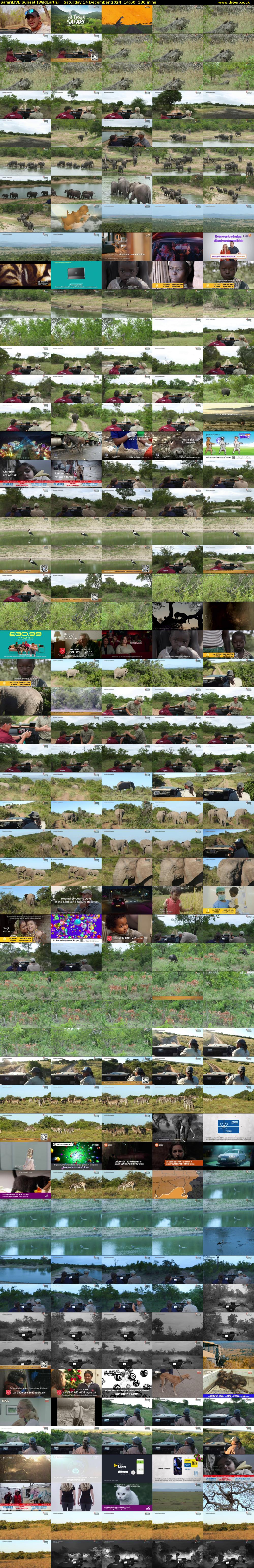 SafariLIVE Sunset (WildEarth) Saturday 14 December 2024 14:00 - 17:00