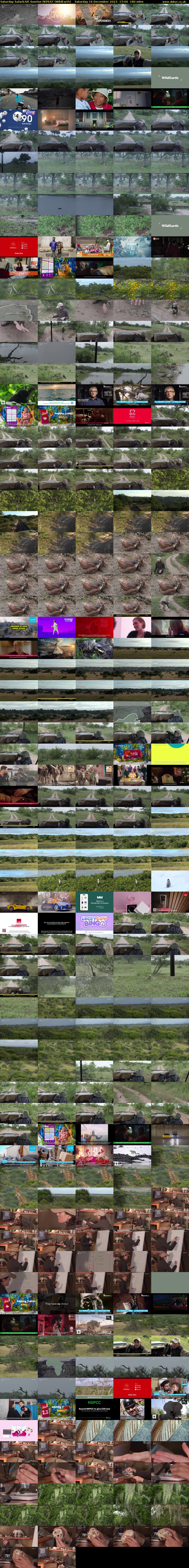 Saturday SafariLIVE Sunrise REPEAT (WildEarth) Saturday 16 December 2023 17:00 - 20:00