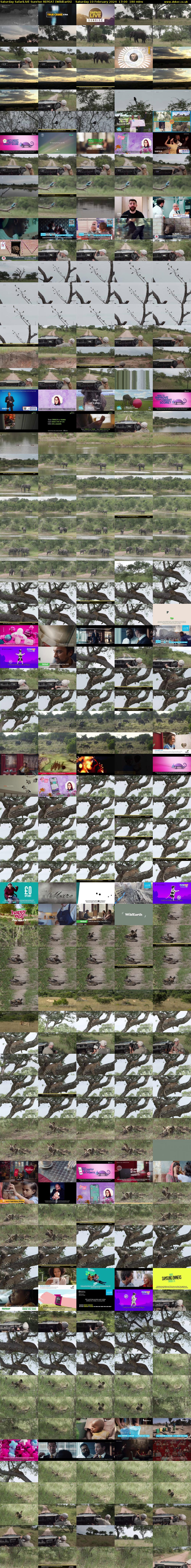 Saturday SafariLIVE Sunrise REPEAT (WildEarth) Saturday 10 February 2024 17:00 - 20:00