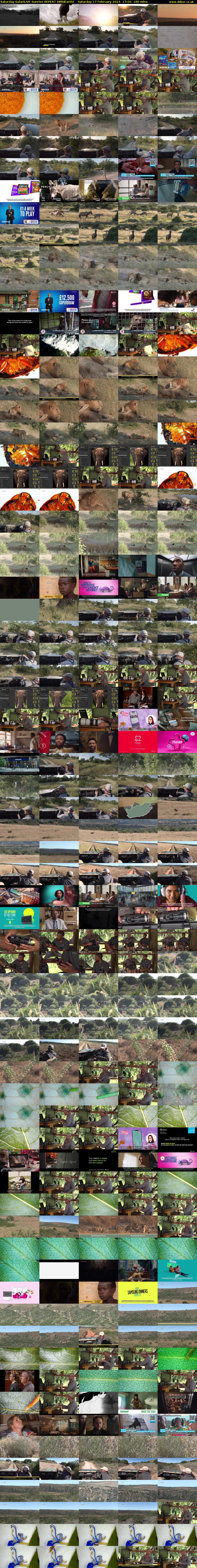 Saturday SafariLIVE Sunrise REPEAT (WildEarth) Saturday 17 February 2024 17:00 - 20:00