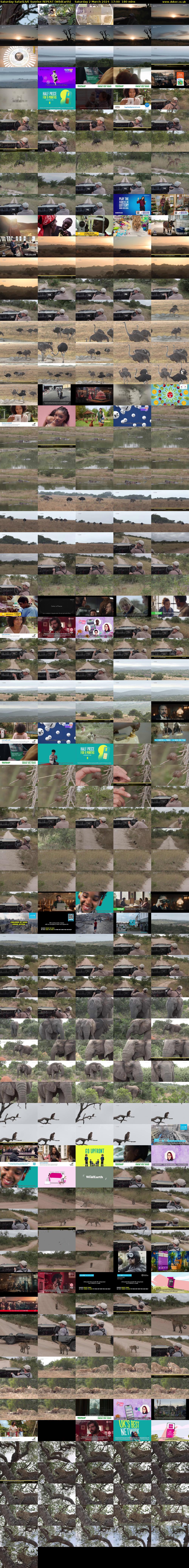 Saturday SafariLIVE Sunrise REPEAT (WildEarth) Saturday 2 March 2024 17:00 - 20:00