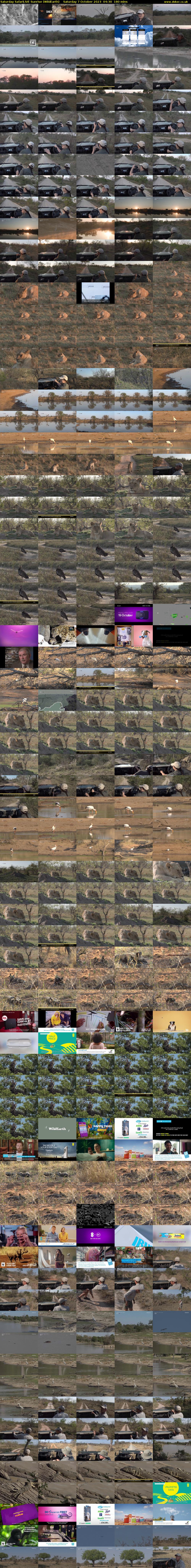 Saturday SafariLIVE Sunrise (WildEarth) Saturday 7 October 2023 04:30 - 07:30