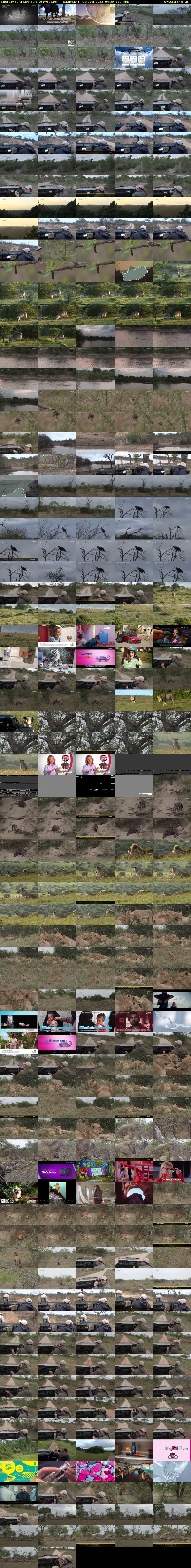 Saturday SafariLIVE Sunrise (WildEarth) Saturday 14 October 2023 04:30 - 07:30