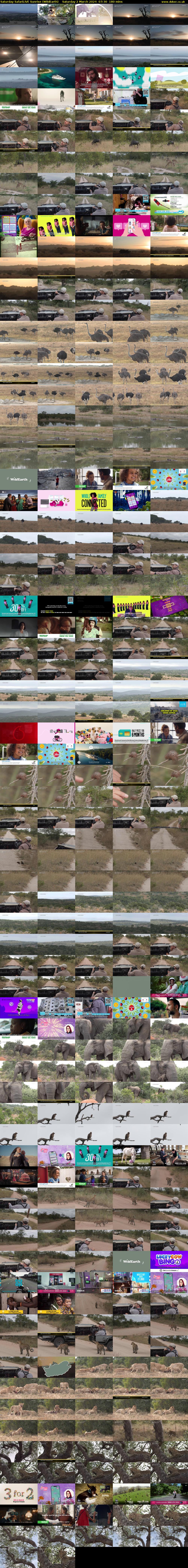 Saturday SafariLIVE Sunrise (WildEarth) Saturday 2 March 2024 07:30 - 10:30