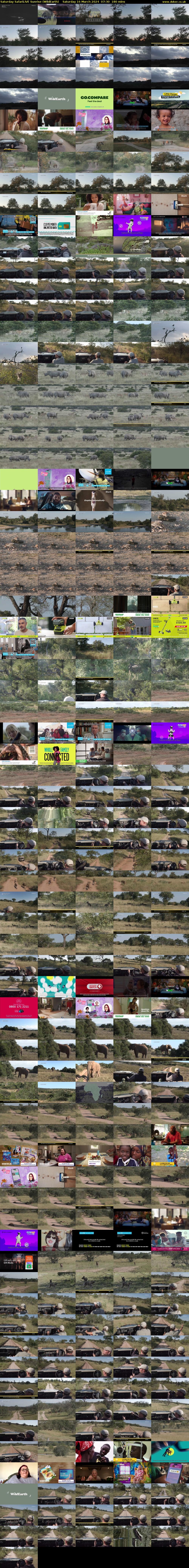 Saturday SafariLIVE Sunrise (WildEarth) Saturday 16 March 2024 07:30 - 10:30