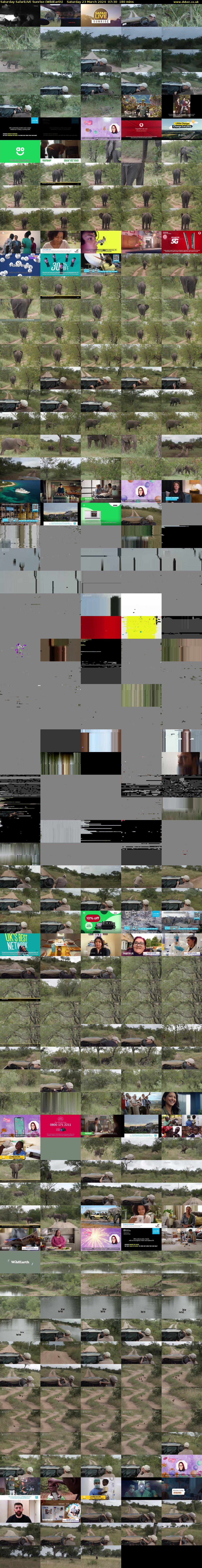 Saturday SafariLIVE Sunrise (WildEarth) Saturday 23 March 2024 07:30 - 10:30