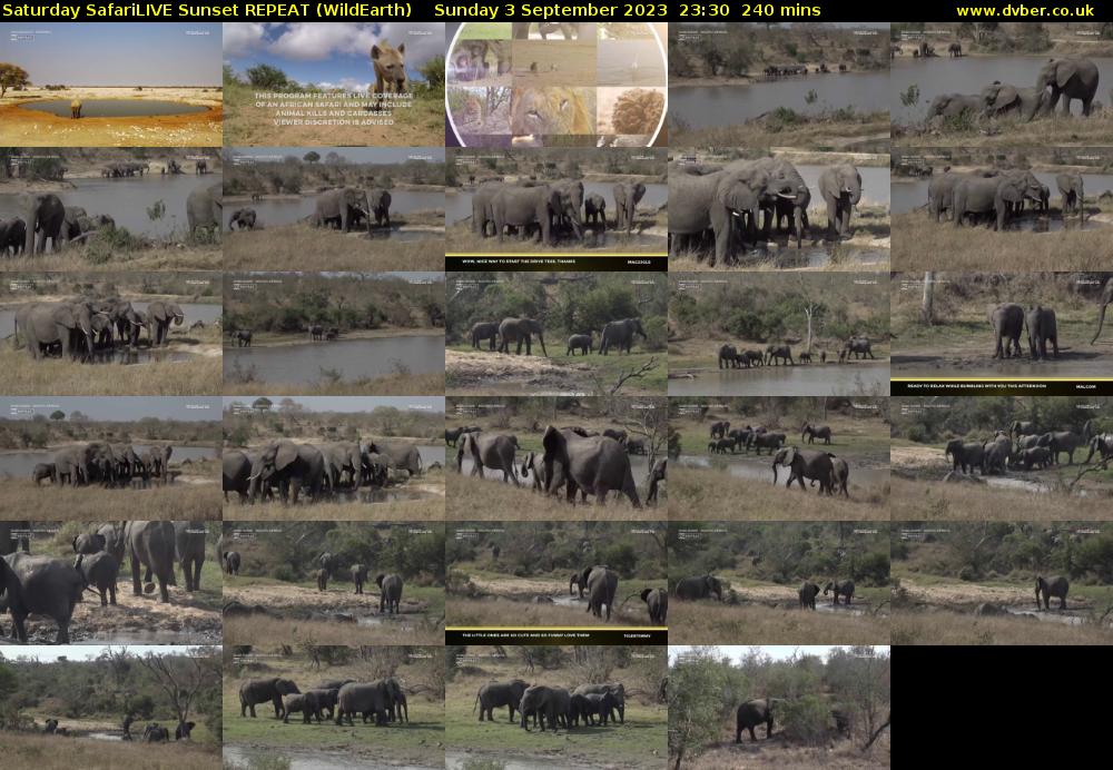 Saturday SafariLIVE Sunset REPEAT (WildEarth) Sunday 3 September 2023 23:30 - 03:30