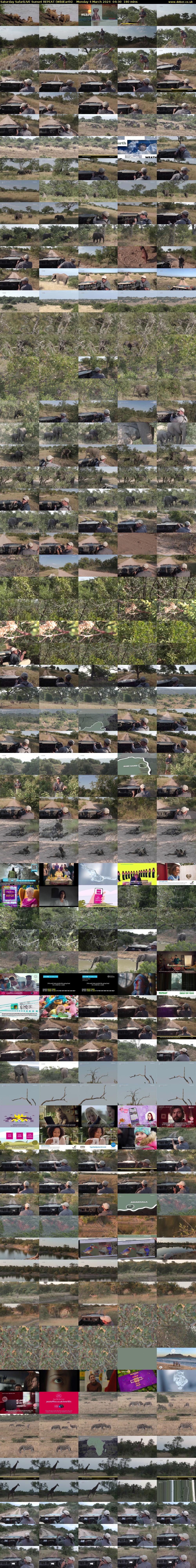 Saturday SafariLIVE Sunset REPEAT (WildEarth) Monday 4 March 2024 04:30 - 07:30