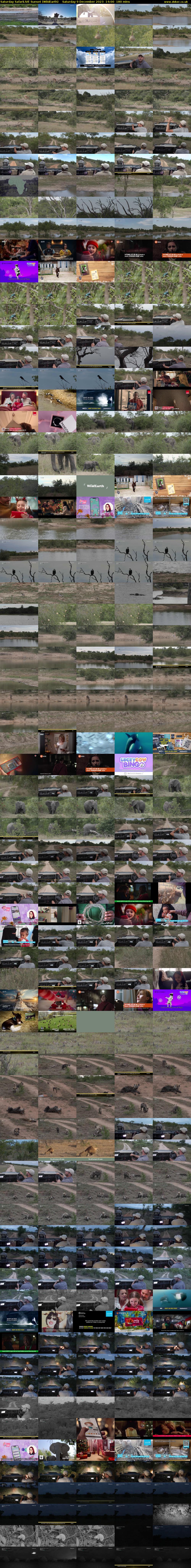 Saturday SafariLIVE Sunset (WildEarth) Saturday 9 December 2023 14:00 - 17:00