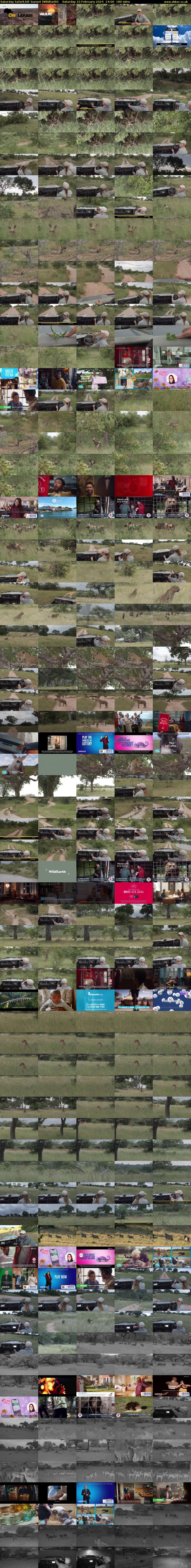 Saturday SafariLIVE Sunset (WildEarth) Saturday 10 February 2024 14:00 - 17:00