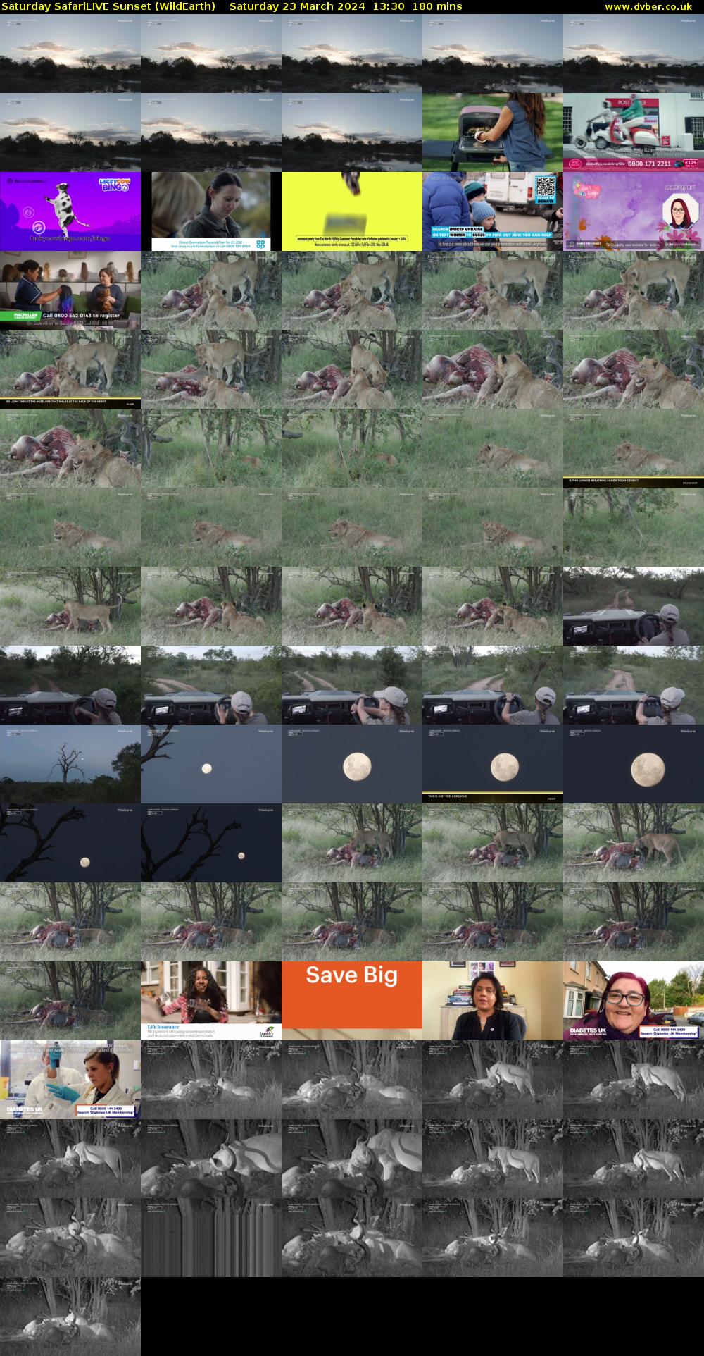 Saturday SafariLIVE Sunset (WildEarth) Saturday 23 March 2024 13:30 - 16:30