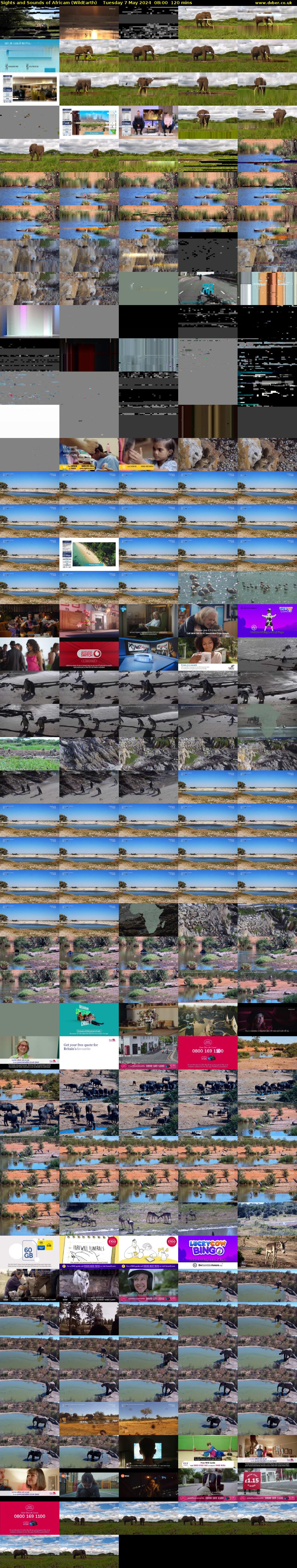 Sights and Sounds of Africam (WildEarth) Tuesday 7 May 2024 08:00 - 10:00