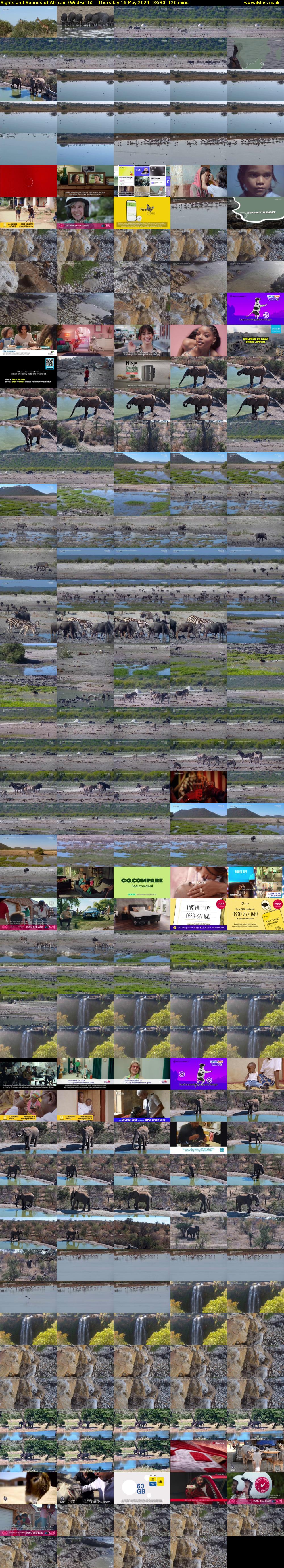 Sights and Sounds of Africam (WildEarth) Thursday 16 May 2024 08:30 - 10:30
