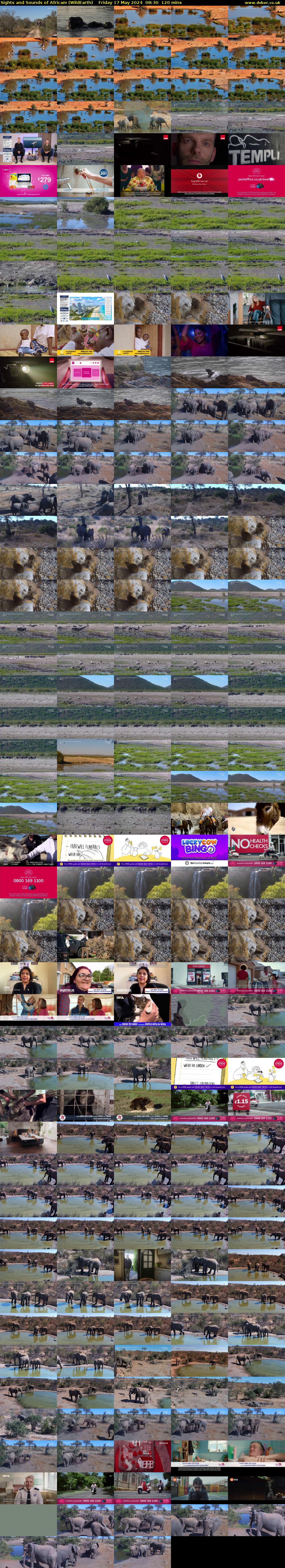 Sights and Sounds of Africam (WildEarth) Friday 17 May 2024 08:30 - 10:30