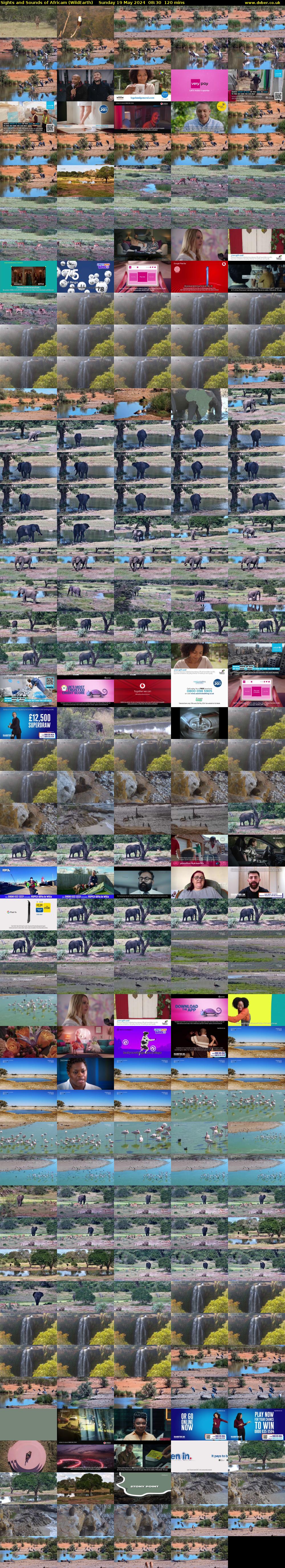 Sights and Sounds of Africam (WildEarth) Sunday 19 May 2024 08:30 - 10:30