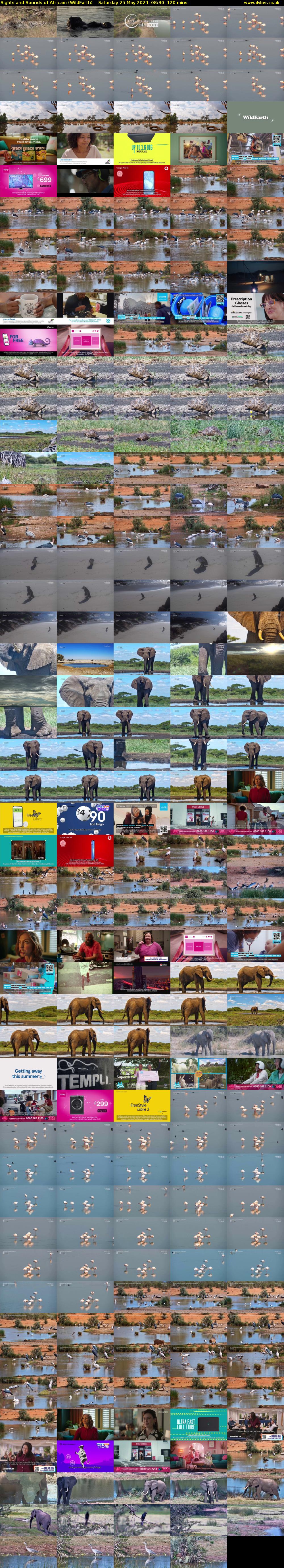 Sights and Sounds of Africam (WildEarth) Saturday 25 May 2024 08:30 - 10:30