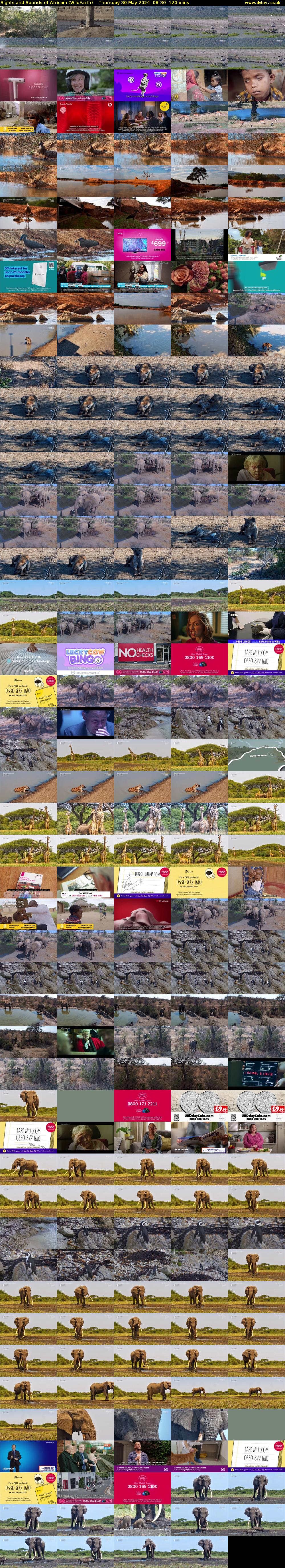 Sights and Sounds of Africam (WildEarth) Thursday 30 May 2024 08:30 - 10:30