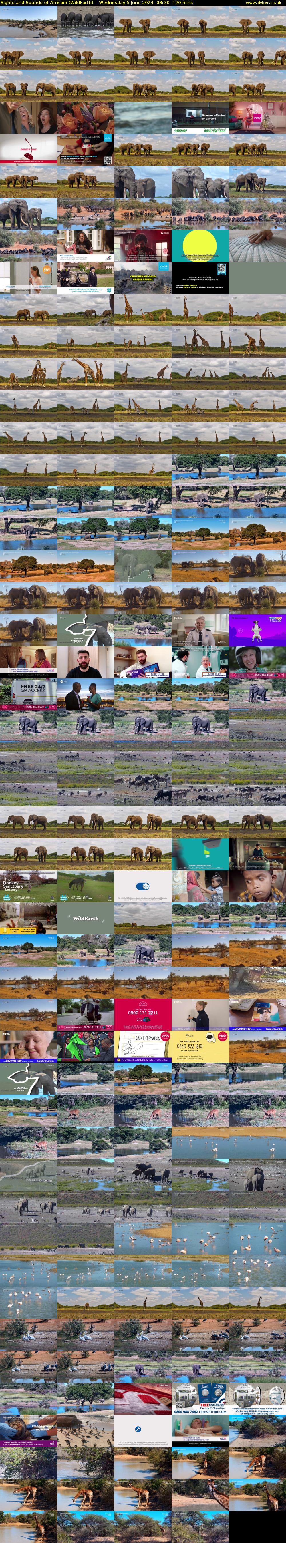 Sights and Sounds of Africam (WildEarth) Wednesday 5 June 2024 08:30 - 10:30