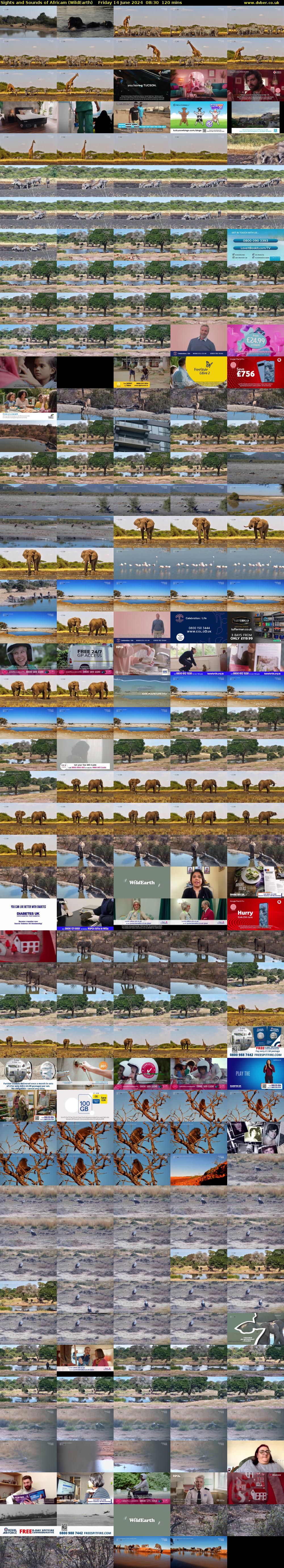 Sights and Sounds of Africam (WildEarth) Friday 14 June 2024 08:30 - 10:30