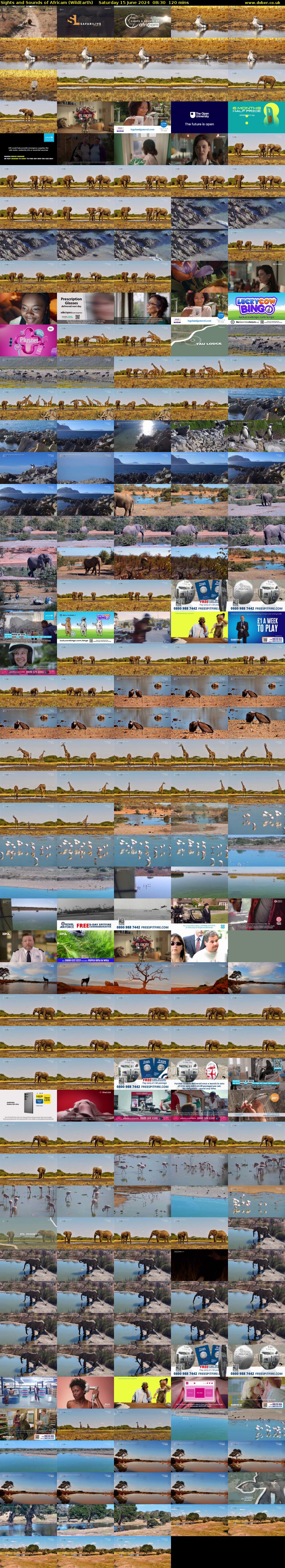 Sights and Sounds of Africam (WildEarth) Saturday 15 June 2024 08:30 - 10:30