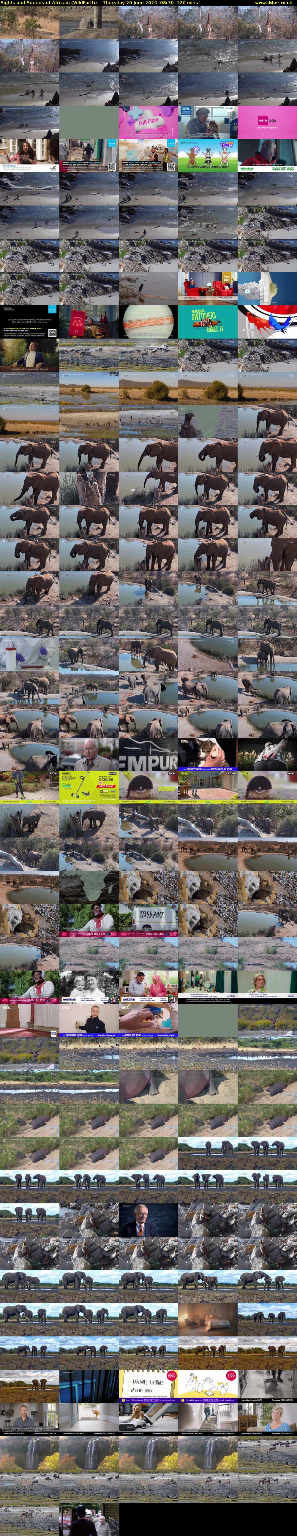 Sights and Sounds of Africam (WildEarth) Thursday 20 June 2024 08:30 - 10:30