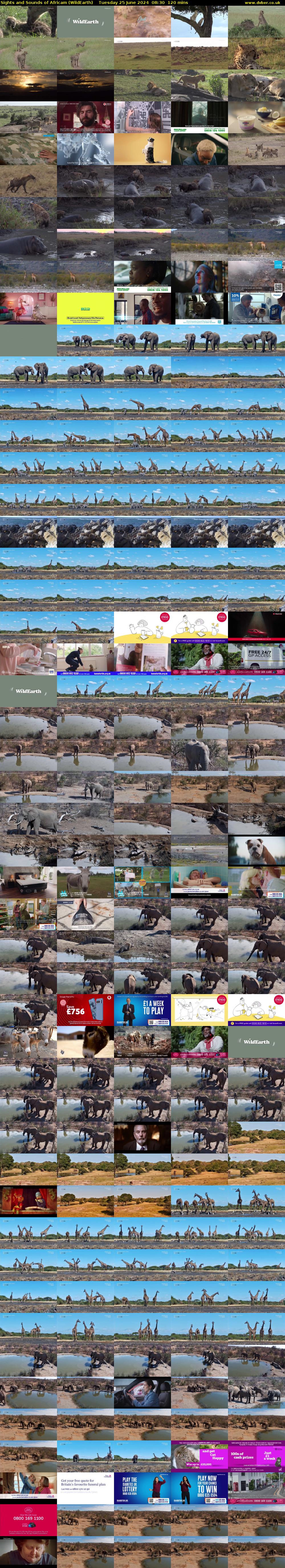 Sights and Sounds of Africam (WildEarth) Tuesday 25 June 2024 08:30 - 10:30
