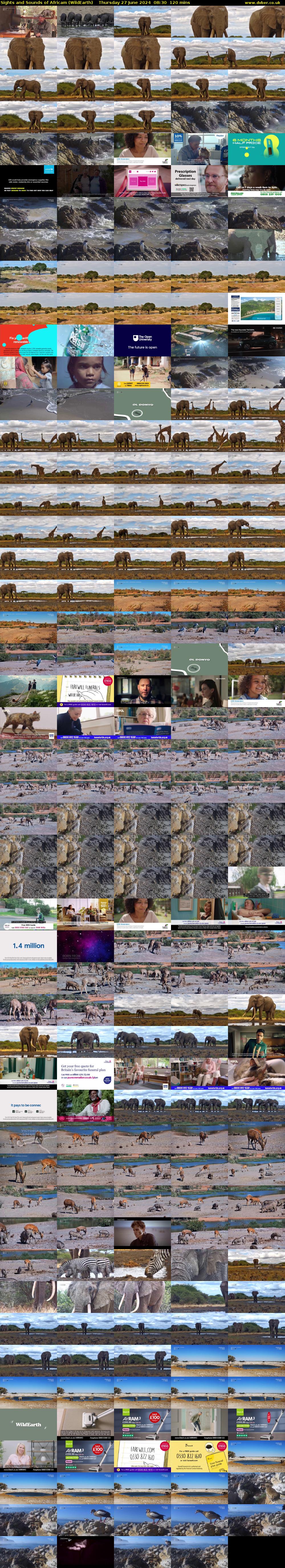 Sights and Sounds of Africam (WildEarth) Thursday 27 June 2024 08:30 - 10:30
