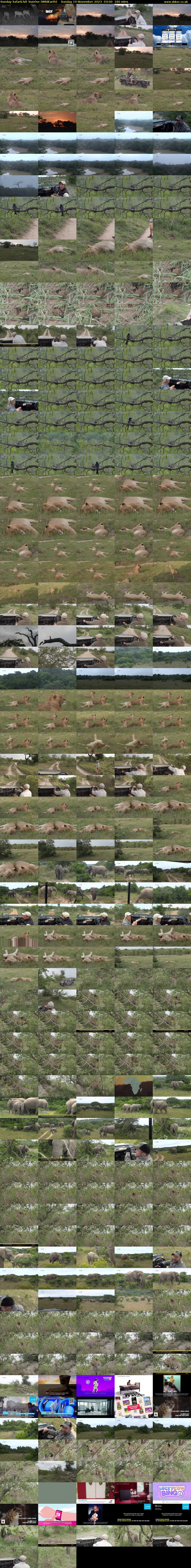 Sunday SafariLIVE Sunrise (WildEarth) Sunday 19 November 2023 03:00 - 06:00