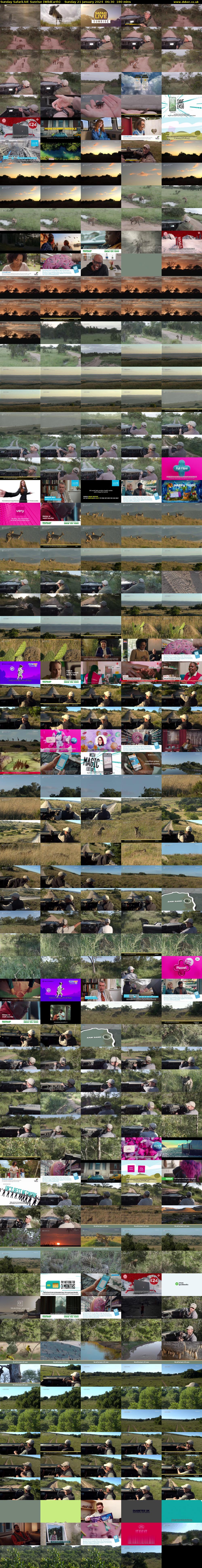 Sunday SafariLIVE Sunrise (WildEarth) Sunday 21 January 2024 06:30 - 09:30