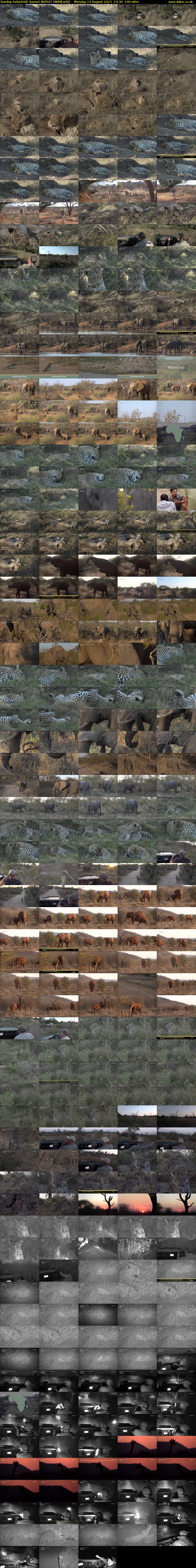 Sunday SafariLIVE Sunset REPEAT (WildEarth) Monday 14 August 2023 23:30 - 03:30