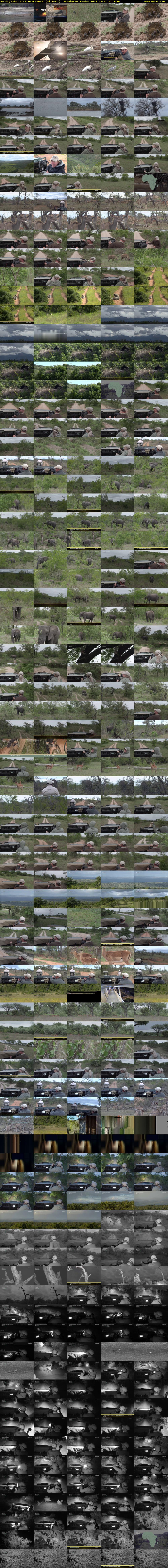 Sunday SafariLIVE Sunset REPEAT (WildEarth) Monday 30 October 2023 23:30 - 03:30
