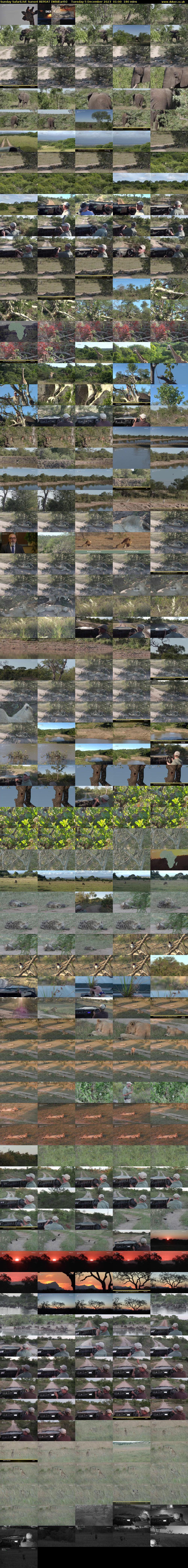 Sunday SafariLIVE Sunset REPEAT (WildEarth) Tuesday 5 December 2023 01:00 - 04:00