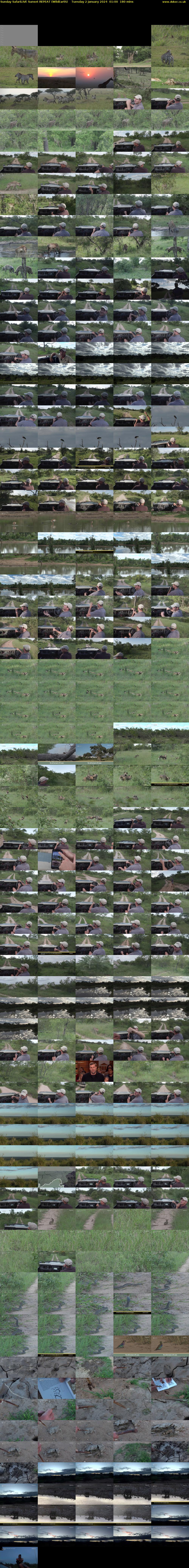 Sunday SafariLIVE Sunset REPEAT (WildEarth) Tuesday 2 January 2024 01:00 - 04:00