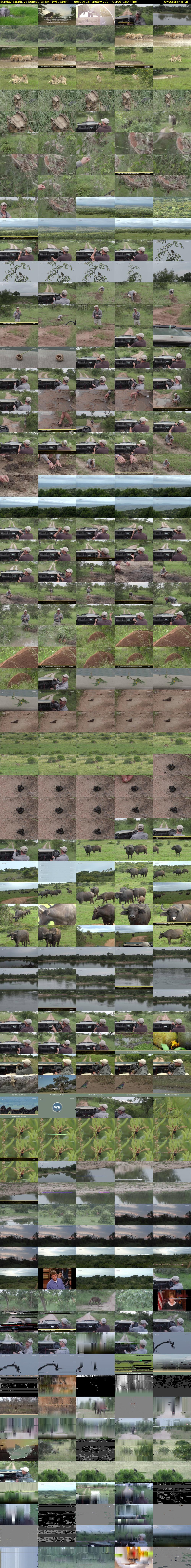 Sunday SafariLIVE Sunset REPEAT (WildEarth) Tuesday 16 January 2024 01:00 - 04:00